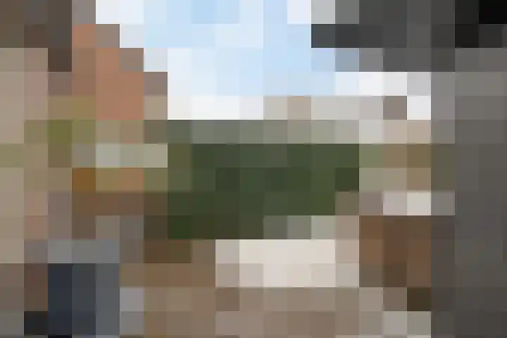 Breed 8 Midwoud thumbnail 26