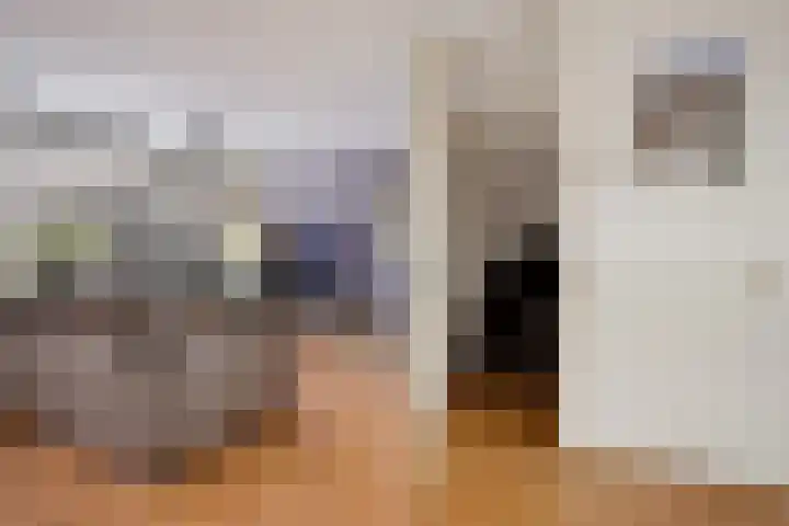 Breed 8 Midwoud thumbnail 8