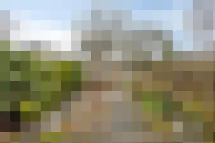 Breedeweg 18 Castricum thumbnail 37