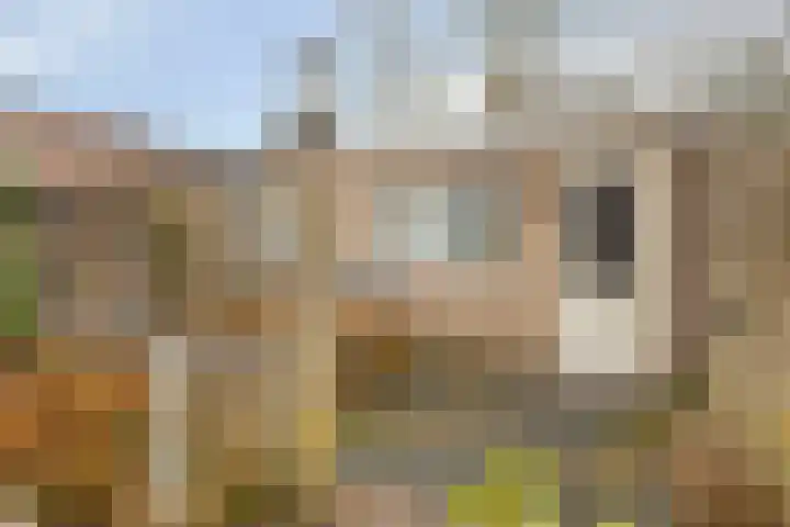 Breedeweg 18 Castricum thumbnail 39