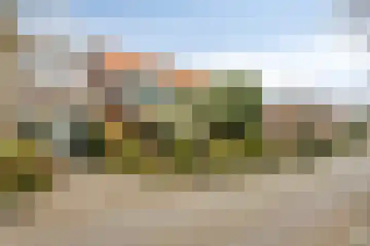 Breedeweg 18 Castricum thumbnail 5