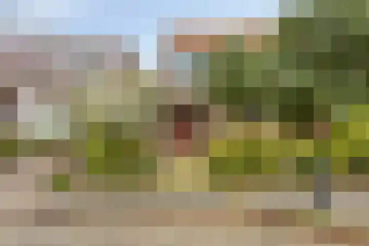 Breedeweg 18 Castricum thumbnail 6