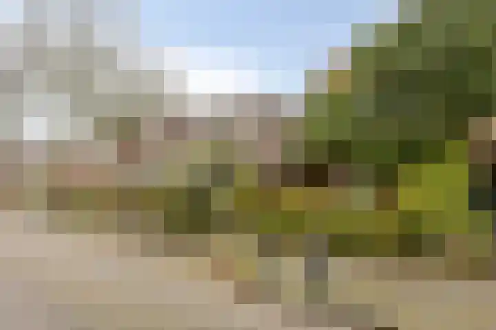 Breedeweg 18 Castricum thumbnail 7
