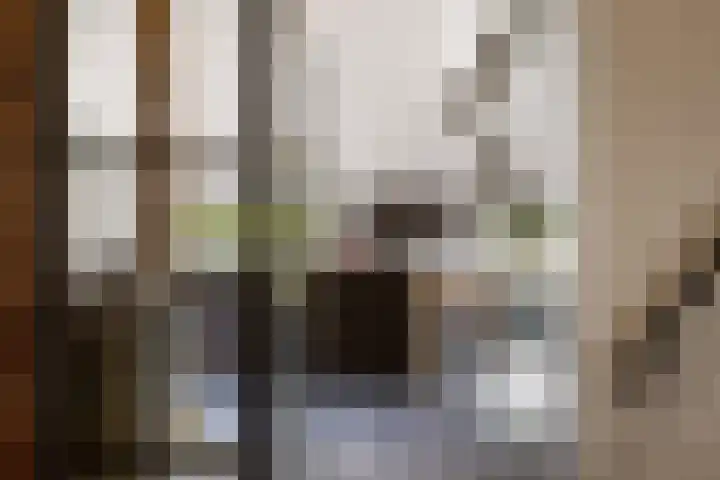 Breedijk 3 Ryptsjerk thumbnail 10