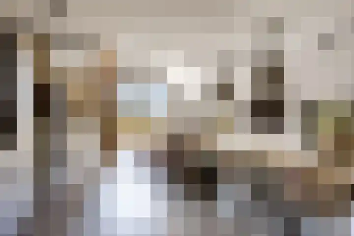 Breedijk 3 Ryptsjerk thumbnail 11