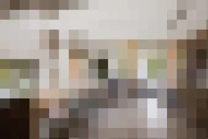 Breedijk 3 Ryptsjerk thumbnail 14