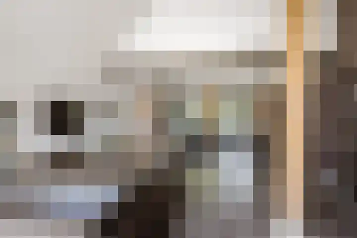 Breedijk 3 Ryptsjerk thumbnail 16