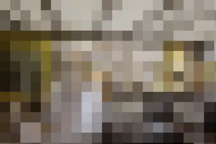 Breedijk 3 Ryptsjerk thumbnail 18