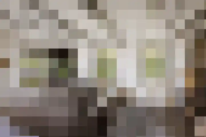 Breedijk 3 Ryptsjerk thumbnail 19