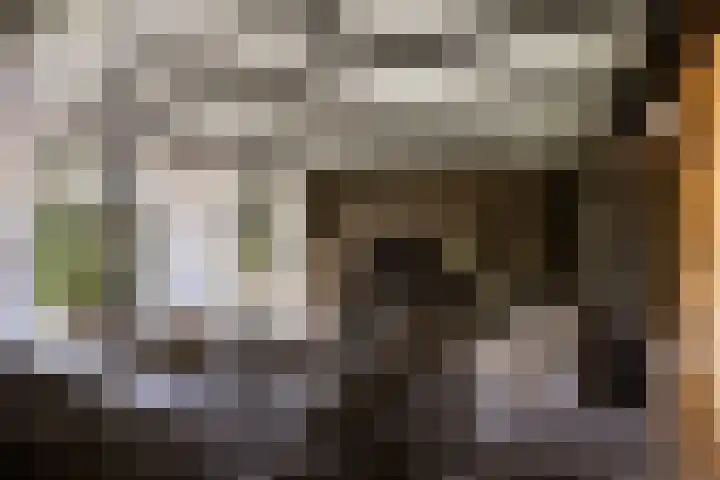 Breedijk 3 Ryptsjerk thumbnail 20