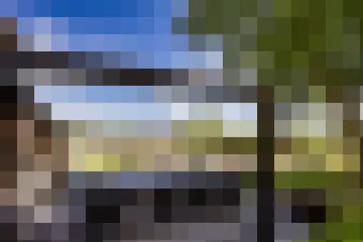 Breedijk 3 Ryptsjerk thumbnail 21