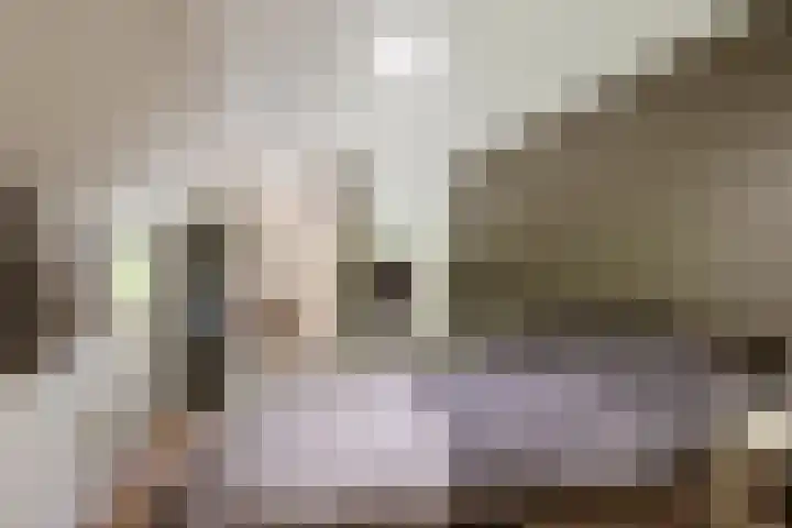 Breedijk 3 Ryptsjerk thumbnail 24