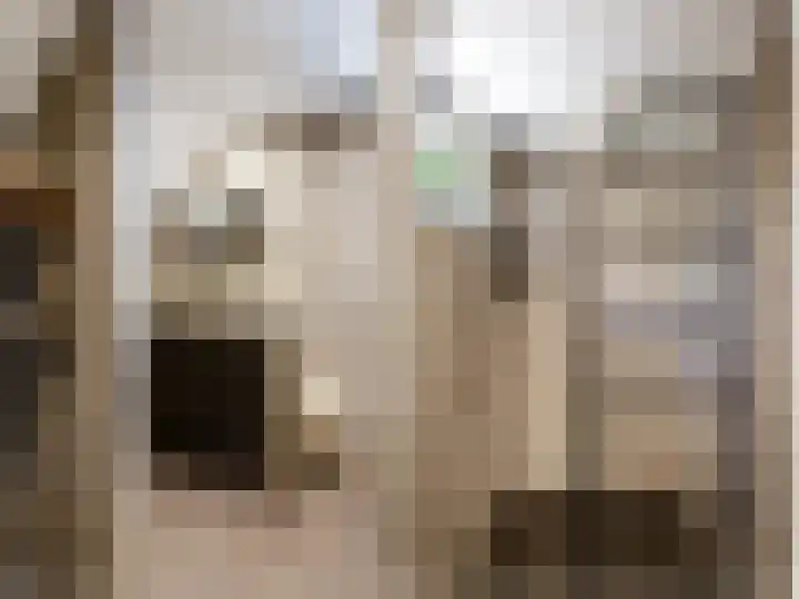 Breedijk 3 Ryptsjerk thumbnail 25