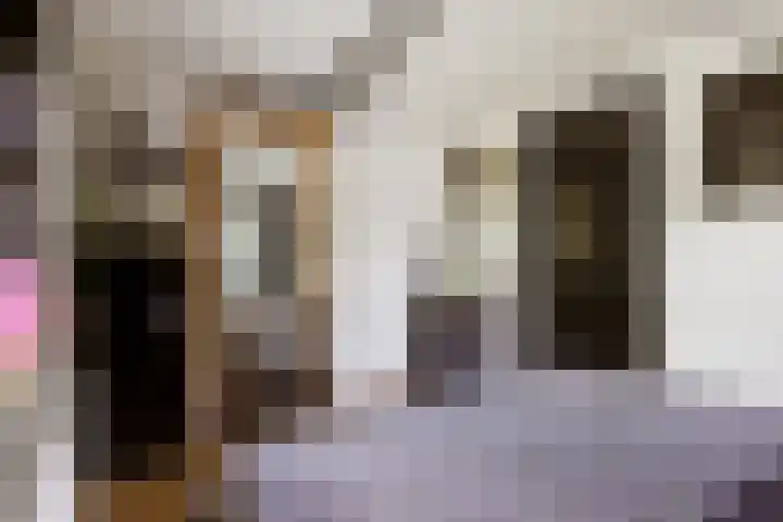 Breedijk 3 Ryptsjerk thumbnail 27