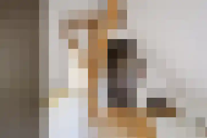 Breedijk 3 Ryptsjerk thumbnail 29