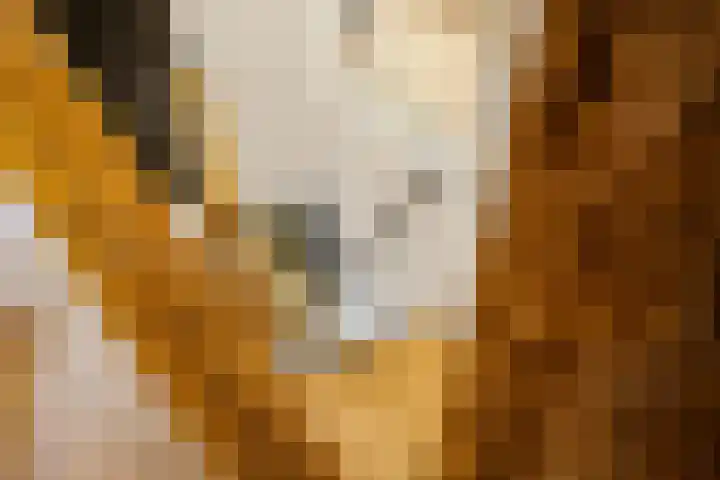 Breedijk 3 Ryptsjerk thumbnail 30