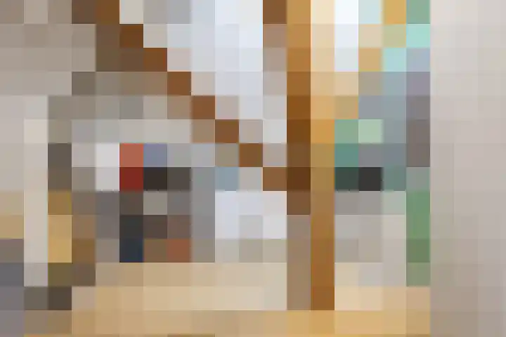 Breedijk 3 Ryptsjerk thumbnail 31