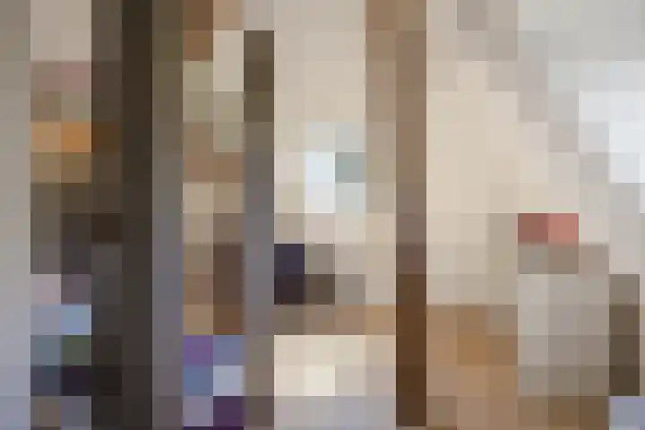 Breedijk 3 Ryptsjerk thumbnail 33