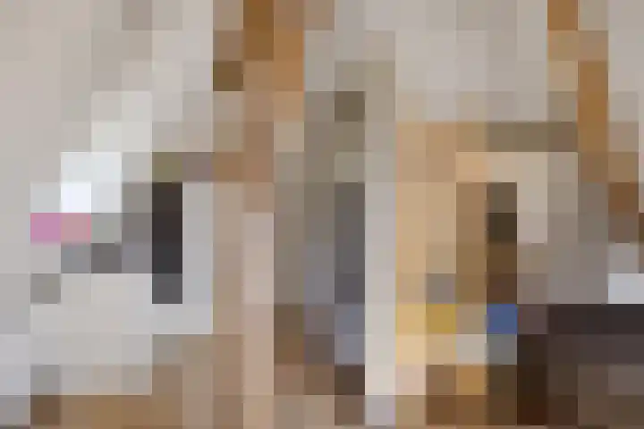 Breedijk 3 Ryptsjerk thumbnail 34