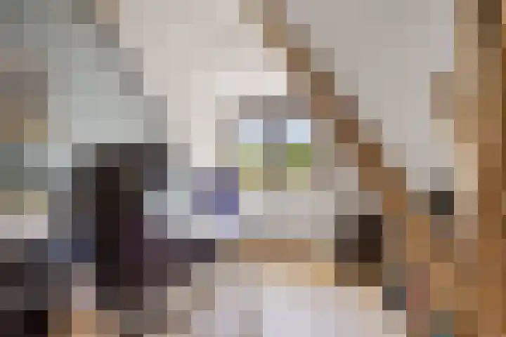 Breedijk 3 Ryptsjerk thumbnail 35
