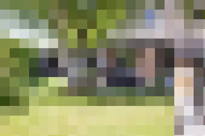 Breedijk 3 Ryptsjerk thumbnail 36