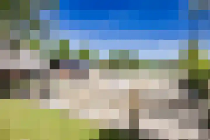 Breedijk 3 Ryptsjerk thumbnail 37