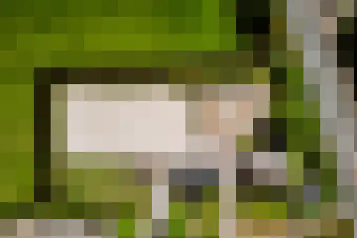 Breedijk 3 Ryptsjerk thumbnail 38