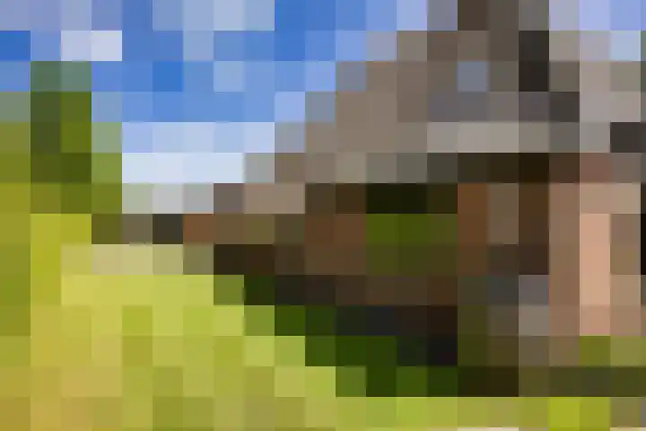 Breedijk 3 Ryptsjerk thumbnail 39