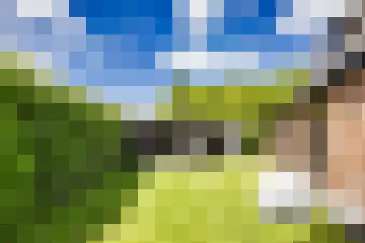 Breedijk 3 Ryptsjerk thumbnail 40