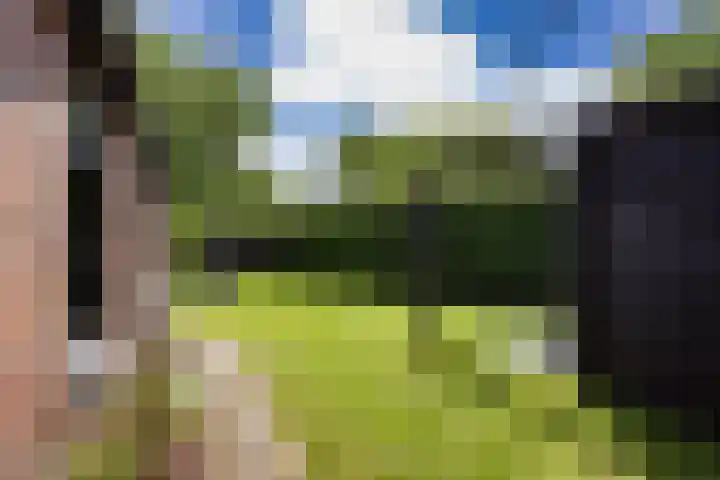 Breedijk 3 Ryptsjerk thumbnail 41