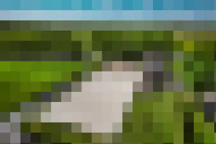 Breedijk 3 Ryptsjerk thumbnail 42