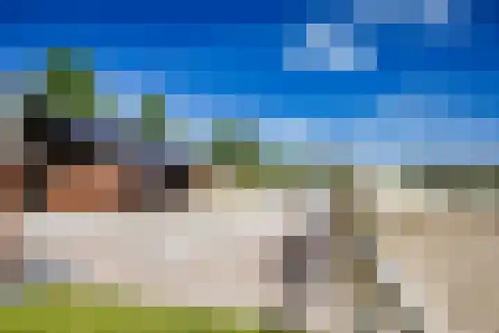Breedijk 3 Ryptsjerk thumbnail 43