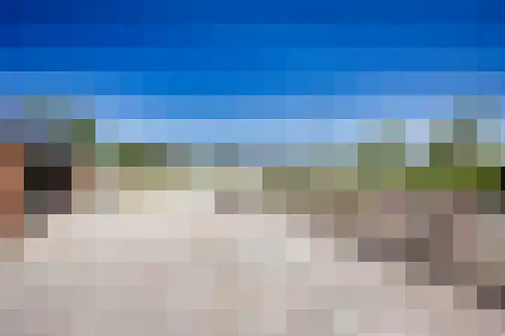 Breedijk 3 Ryptsjerk thumbnail 45