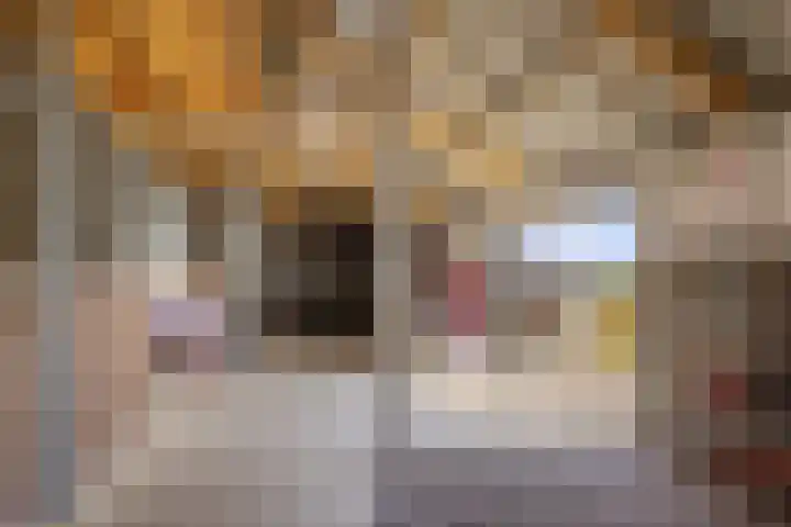 Breedijk 3 Ryptsjerk thumbnail 47