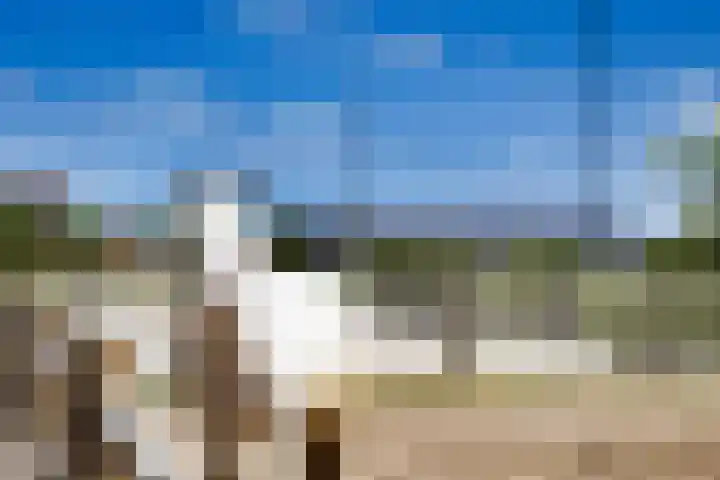 Breedijk 3 Ryptsjerk thumbnail 49
