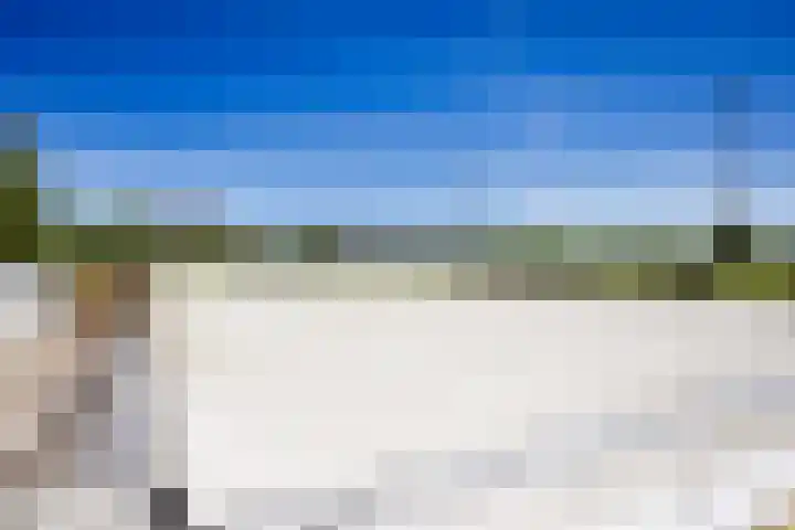Breedijk 3 Ryptsjerk thumbnail 50