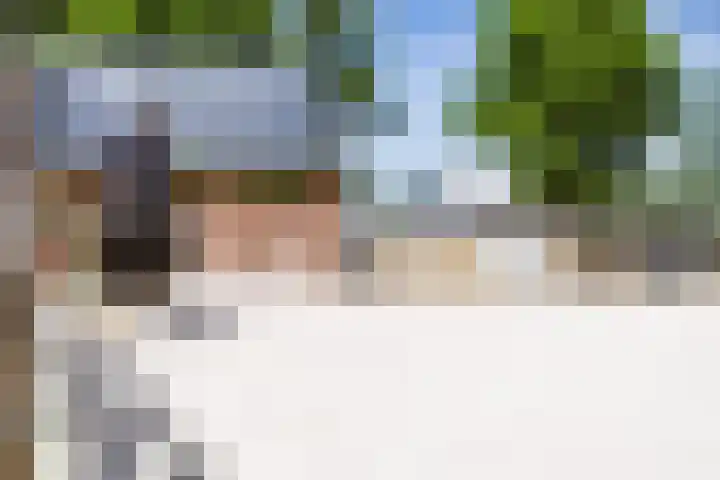 Breedijk 3 Ryptsjerk thumbnail 52