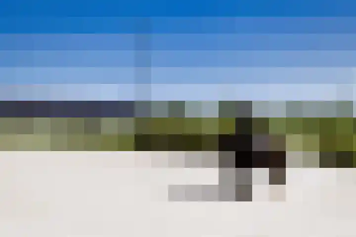 Breedijk 3 Ryptsjerk thumbnail 53