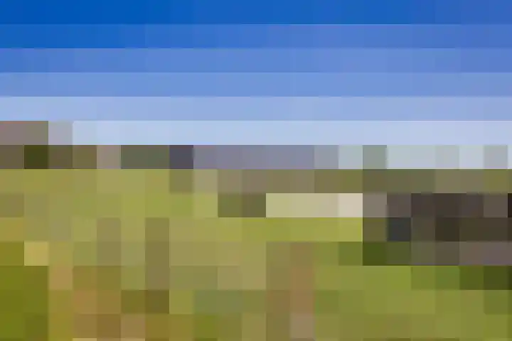 Breedijk 3 Ryptsjerk thumbnail 54