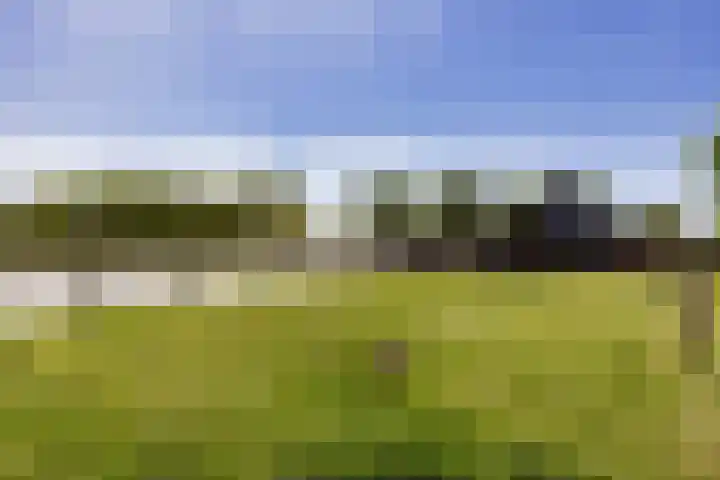 Breedijk 3 Ryptsjerk thumbnail 55