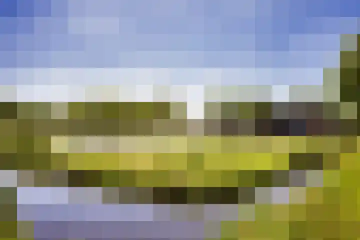 Breedijk 3 Ryptsjerk thumbnail 57