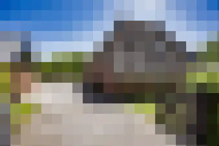 Breedijk 3 Ryptsjerk thumbnail 6