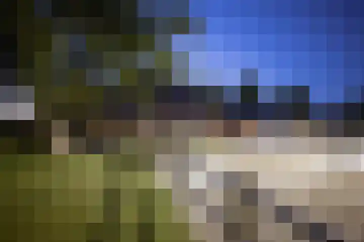 Breedijk 3 Ryptsjerk thumbnail 60