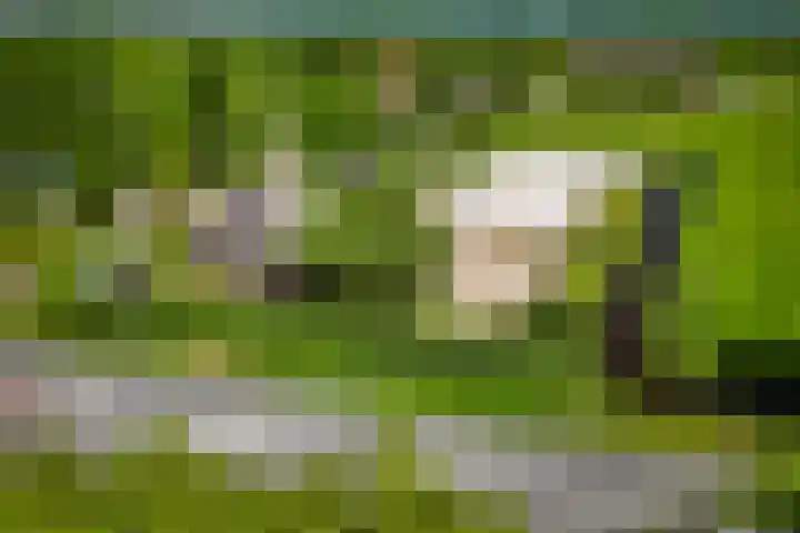Breedijk 3 Ryptsjerk thumbnail 63
