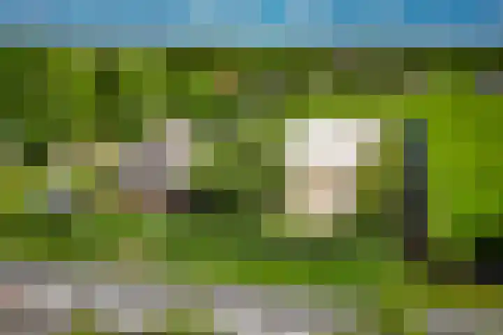 Breedijk 3 Ryptsjerk thumbnail 67