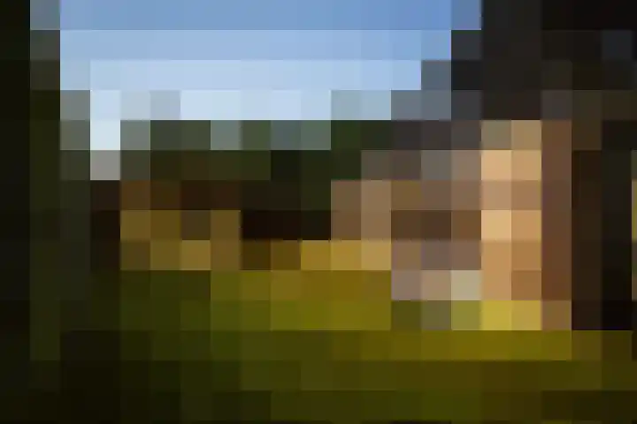Breedijk 3 Ryptsjerk thumbnail 71