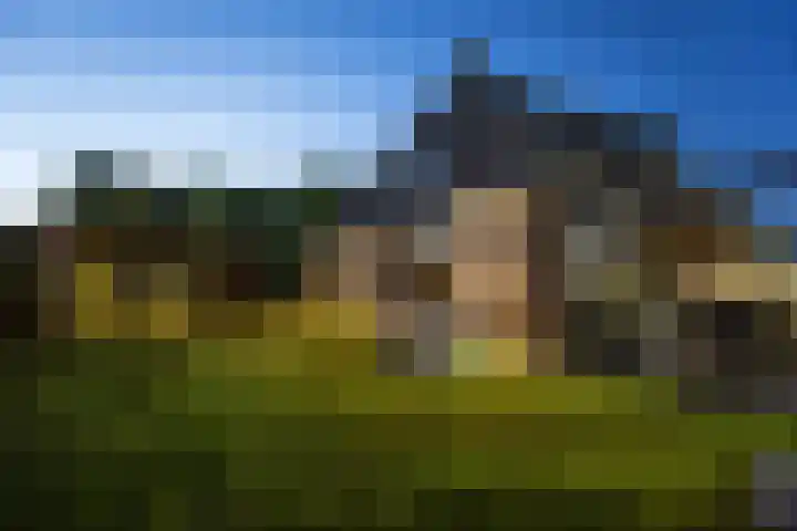 Breedijk 3 Ryptsjerk thumbnail 72
