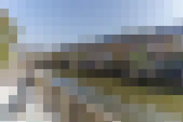 Breedkapper 25 Delft thumbnail 11