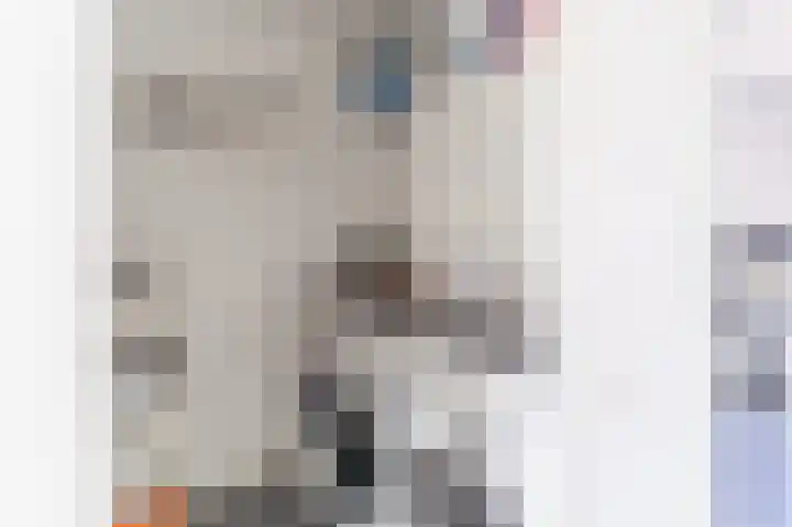 Breedkapper 25 Delft thumbnail 20