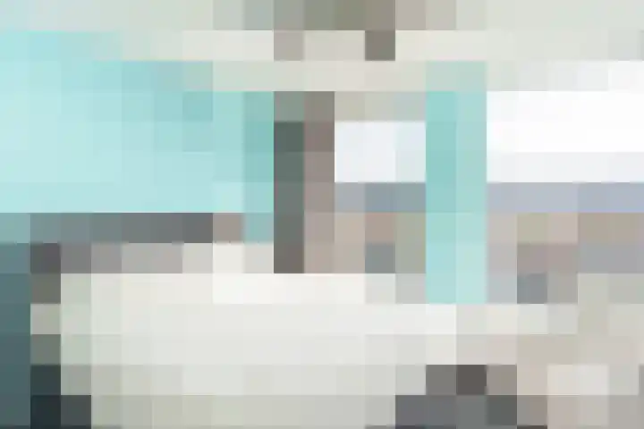 Breedkapper 25 Delft thumbnail 23